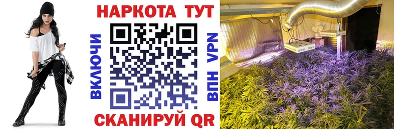 Как найти наркотики Петрозаводск Амфетамин  Галлюциногенные грибы  МЕФ 