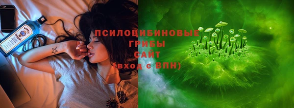 стаф Нязепетровск