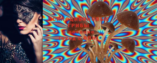 дмт Няндома