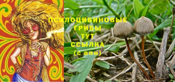 стаф Нязепетровск