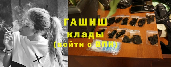 дмт Няндома