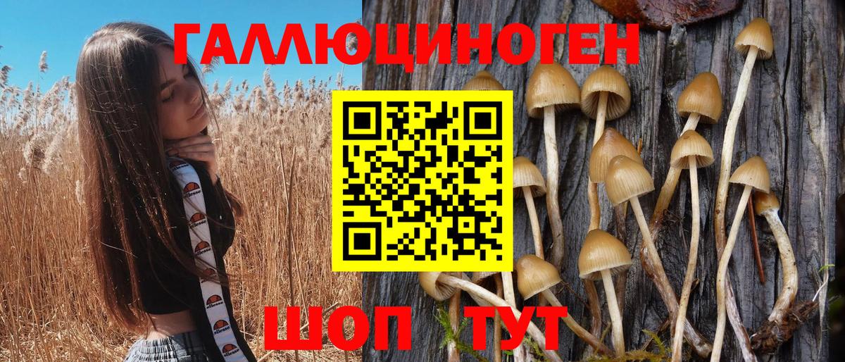 Петрозаводск  Псилоцибиновые грибы MAGIC MUSHROOMS  Вход с VPN  Галлюциногенные грибы ЛСД 
