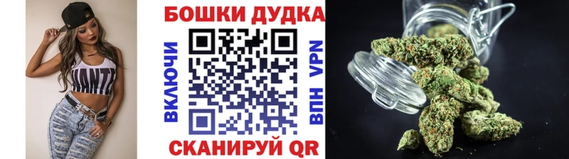 где можно купить наркотик  Петрозаводск  Марихуана марихуана 